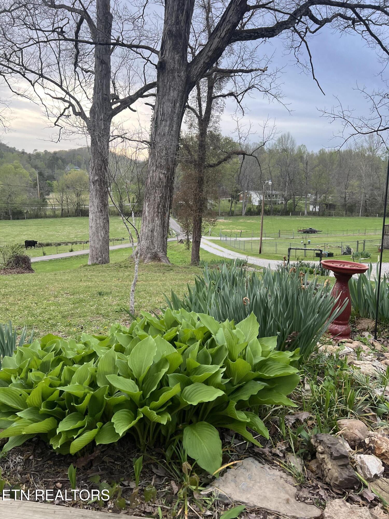 149 Hembree Lane Clinton, TN 37716 - Photo 8 of 33 IMG_9896