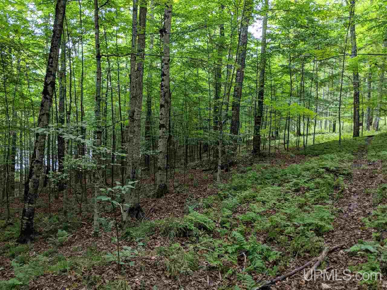 6.50-acres Fordville Road, Unit 27 STURGEON RIVER SI Foster City, MI 49807 - Photo 3 of 14