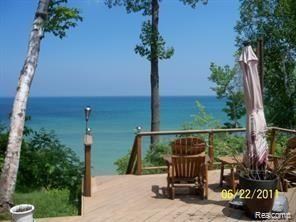 2819 South Lakeshore Road Applegate, MI 48401 - Photo 4 of 16 Gallery Image 4