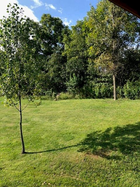 205 Rice School Road Mount Pleasant, PA 15666 - Photo 6 of 14