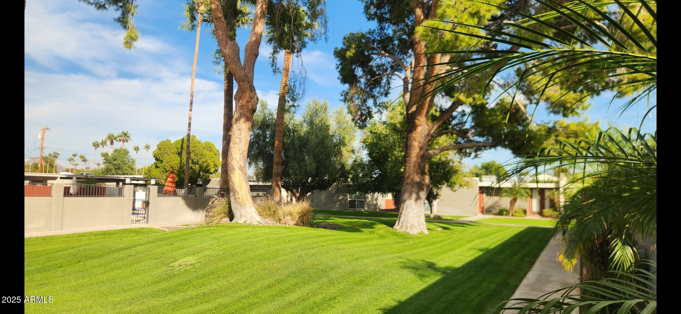 4419 North 27th Street, Unit 22 Phoenix, AZ 85016 - Photo 31 of 46 a view of a yard and trees