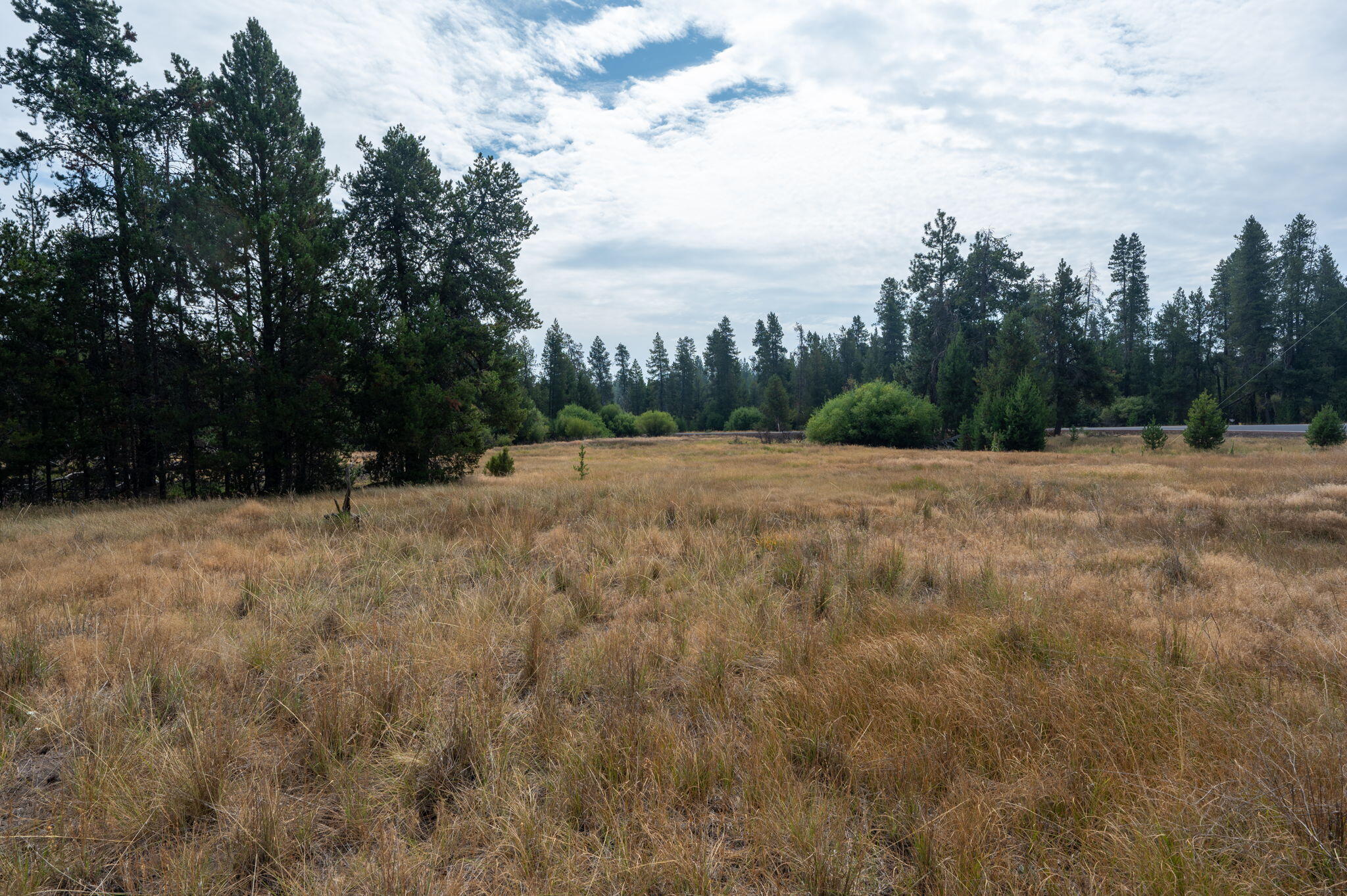 51596 Dorrance Meadow Road La Pine, OR 97739 - Photo 2 of 8 1