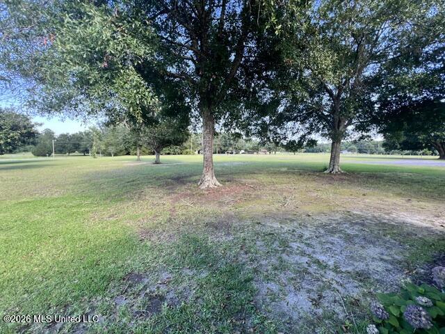 14305 Timber Ridge Dr - front yard 1