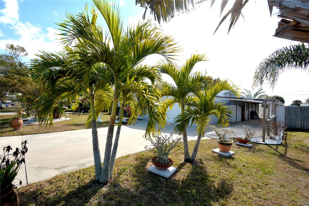 1313 Mango Avenue Venice, FL 34285 - Photo 25 of 34