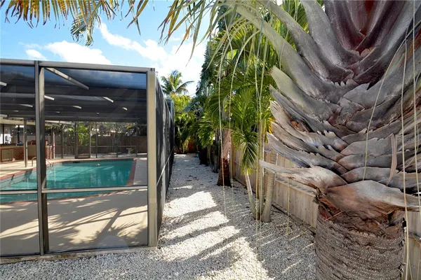a view of a backyard with plants