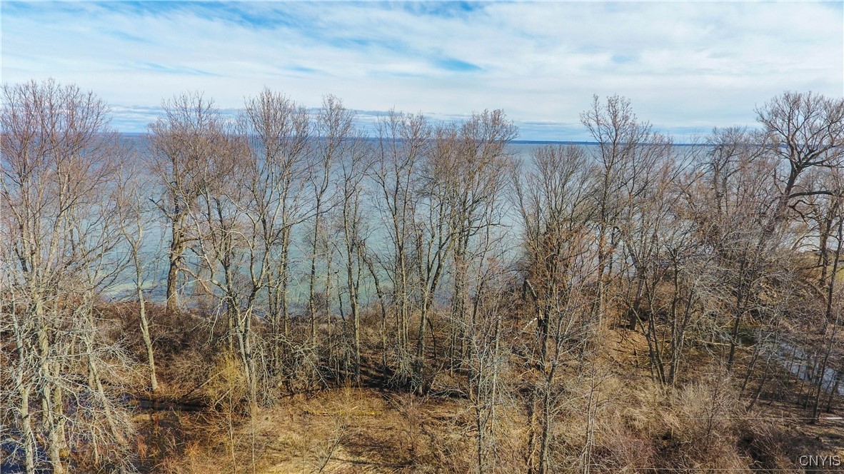 Lot 1 South South Shore Road Three Mile Bay, NY 13693 - Photo 37 of 40