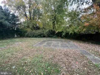a view of a green field with trees in the background