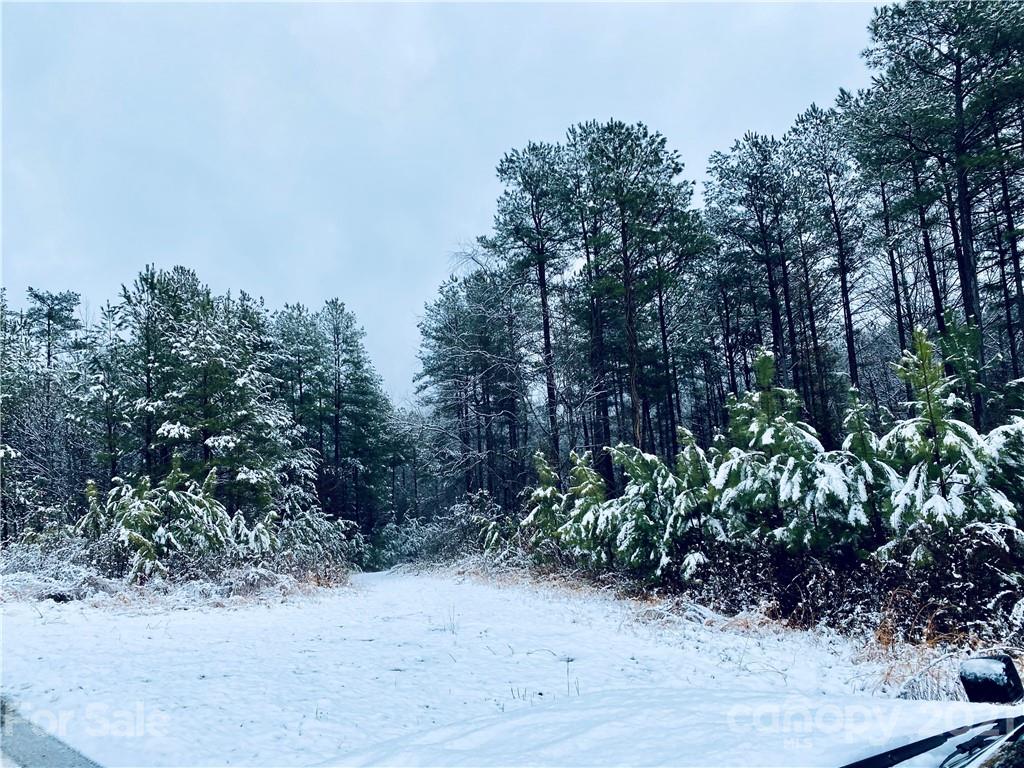 0 Bailey Off Road Nebo, NC 28761 - Photo 13 of 13
