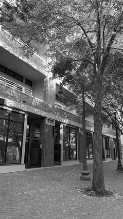 a front view of a building with glass windows and a tree