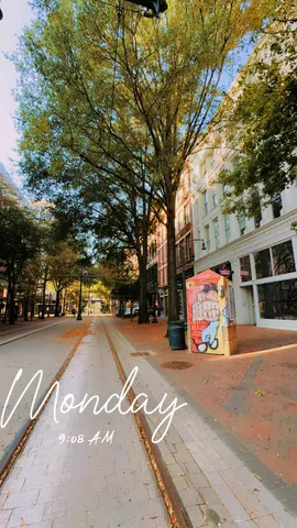 a view of street with large trees