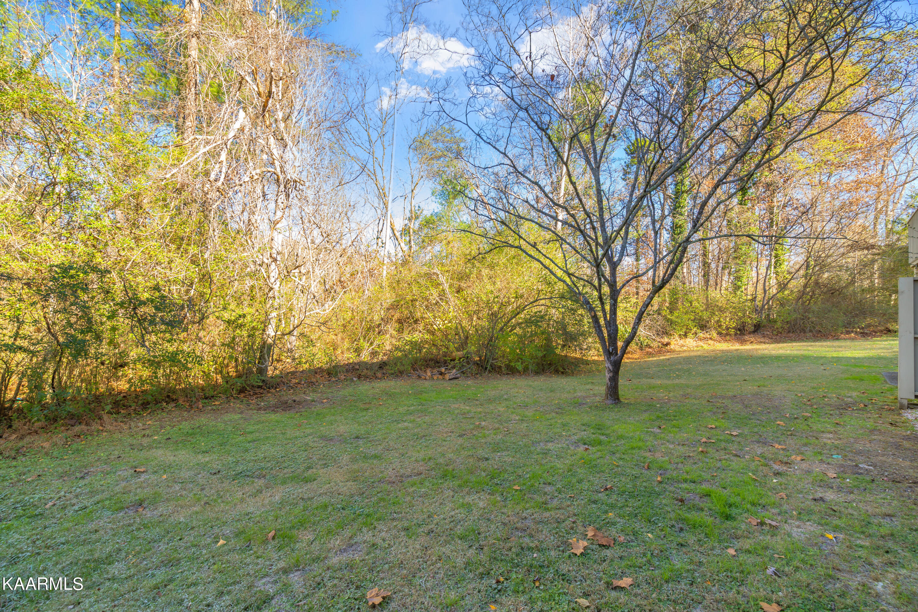 42 Brookside Drive Oak Ridge, TN 37830 - Photo 40 of 42 Yard/Common Area