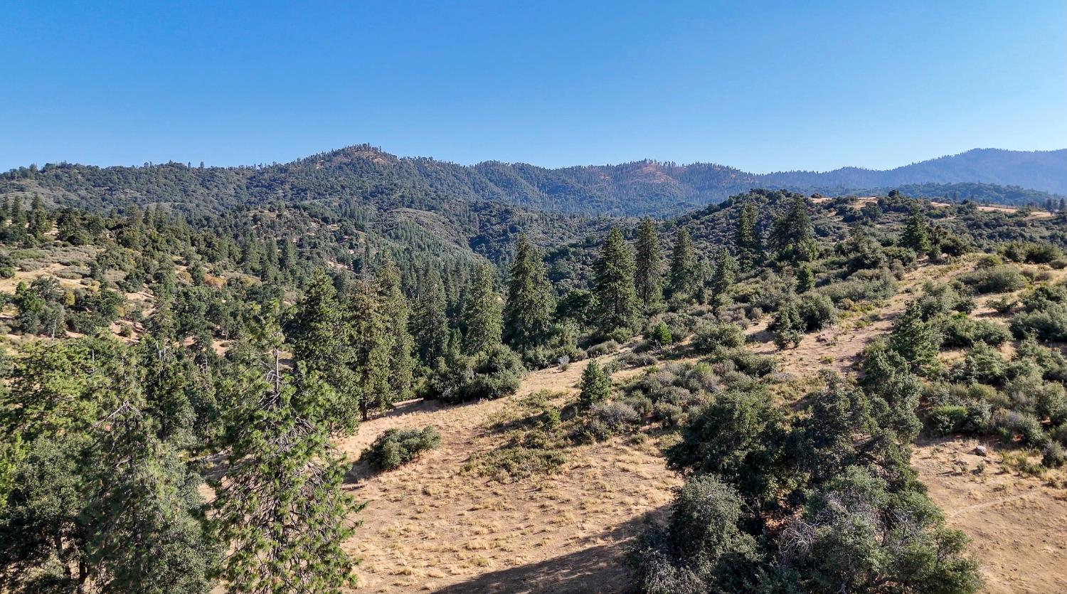 0 Whitaker Forest Road Miramonte, CA 93603 - Photo 43 of 78 a view of a mountain in the distance