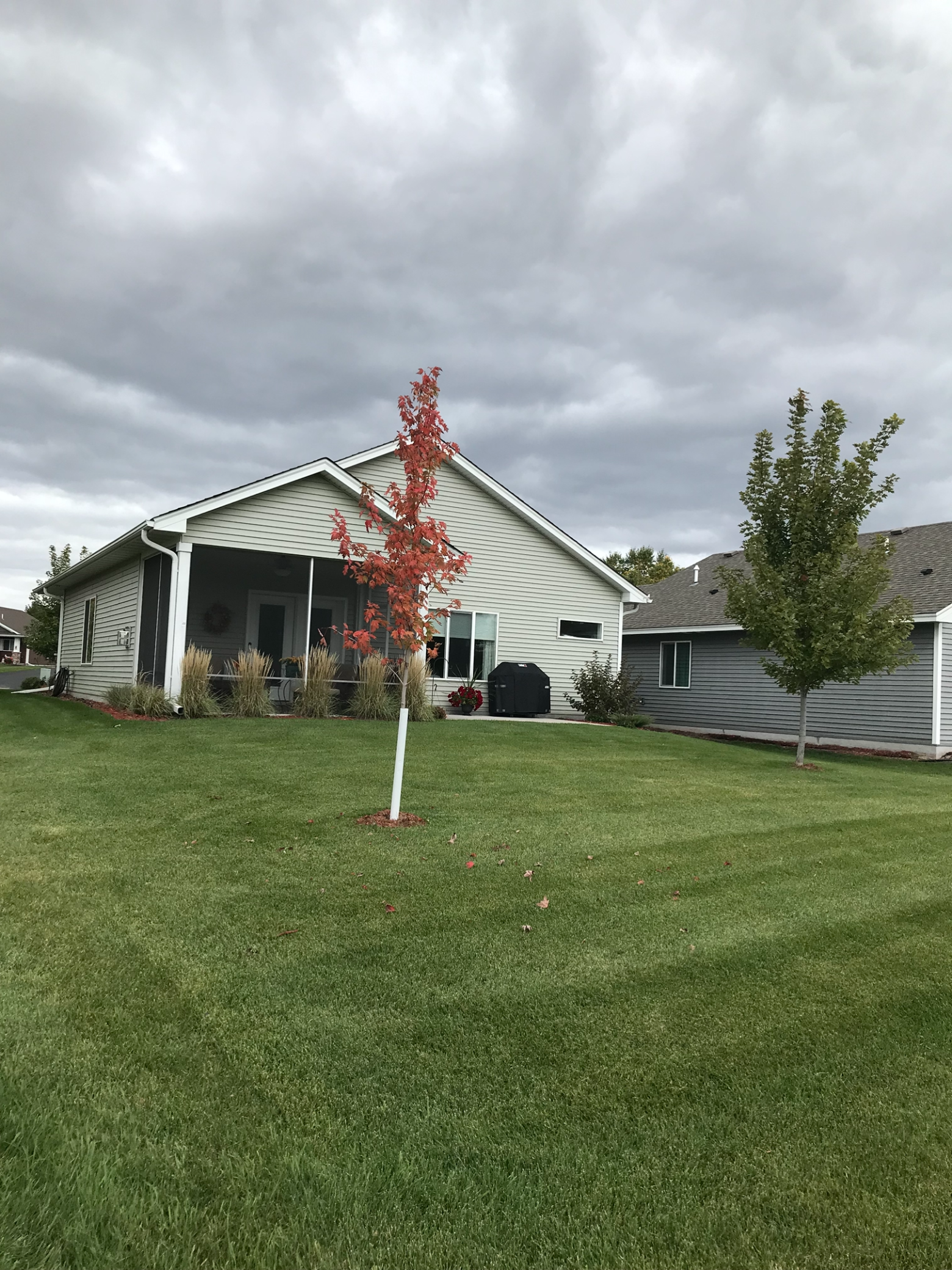 1003 Golden Way Northwest Isanti, MN 55040 - Photo 33 of 38