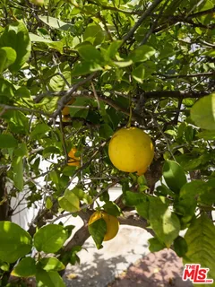 $1,299,000 | 6130 Flores Avenue, Los Angeles, CA 90056