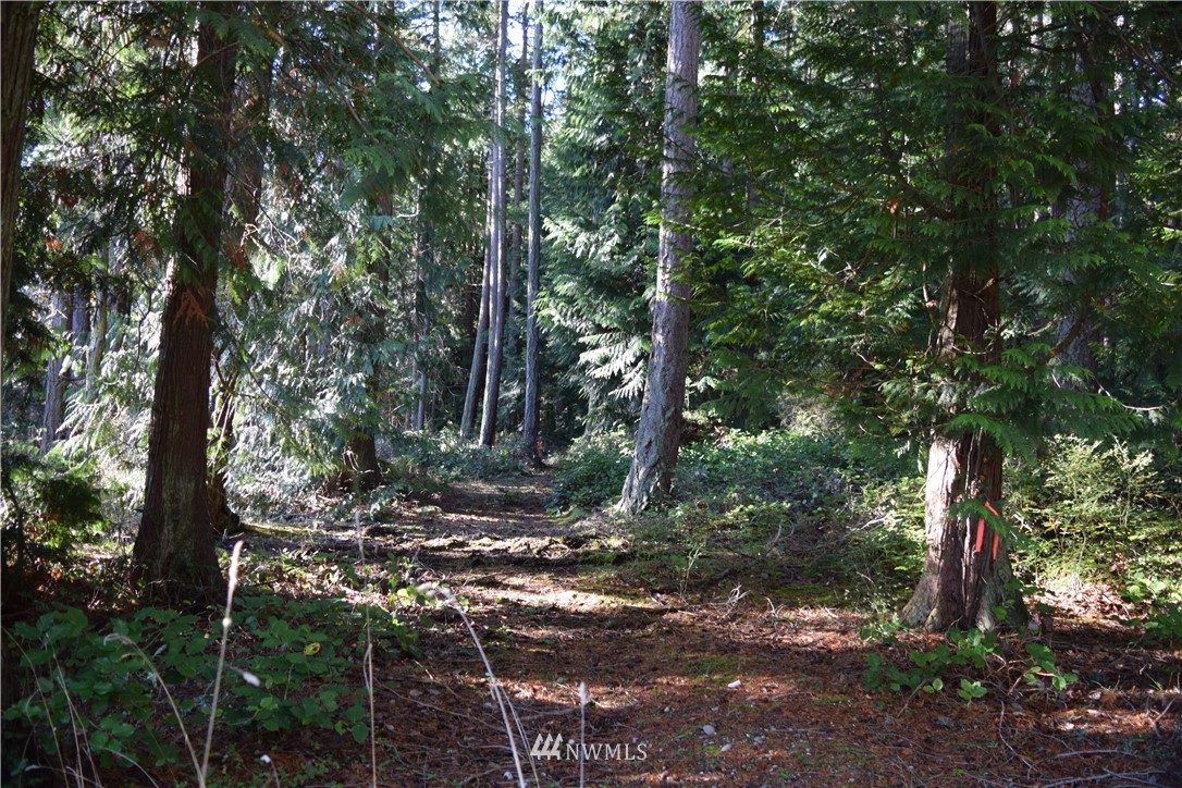 1 West Henni Road Oak Harbor, WA 98277 - Photo 14 of 25 Gallery Image 14