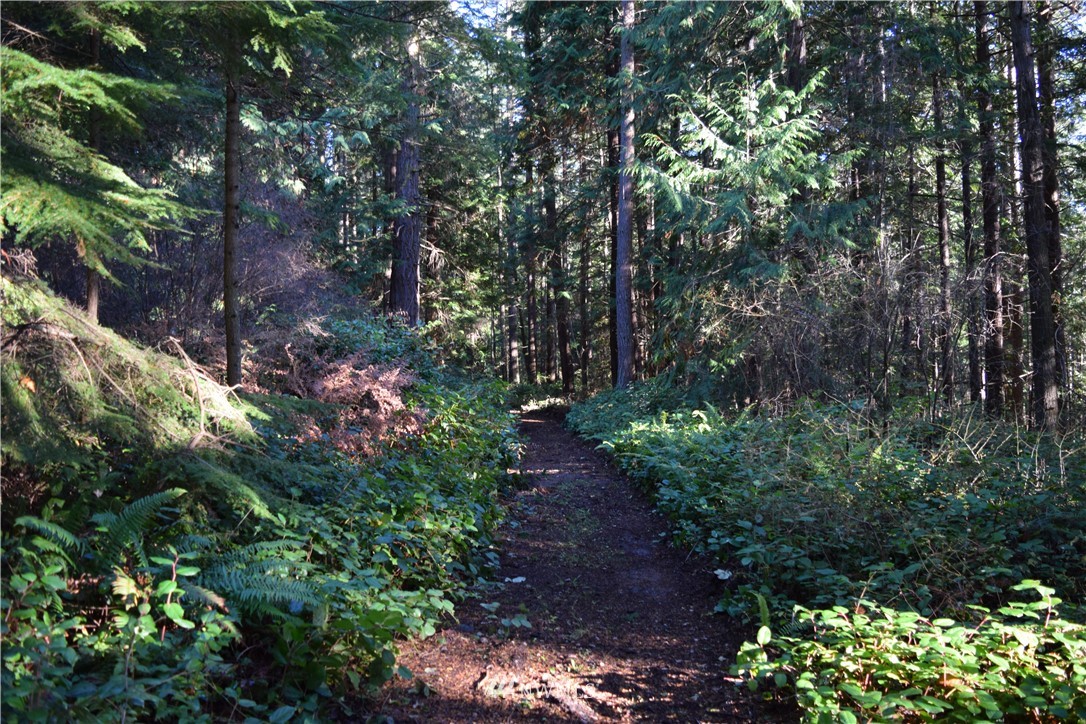1 West Henni Road Oak Harbor, WA 98277 - Photo 8 of 25 Gallery Image 8
