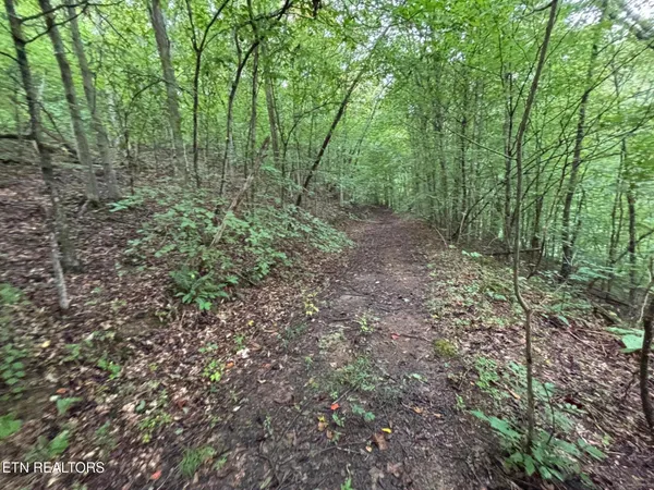 $78,500 | 6th Avenue, Jellico, TN 37762