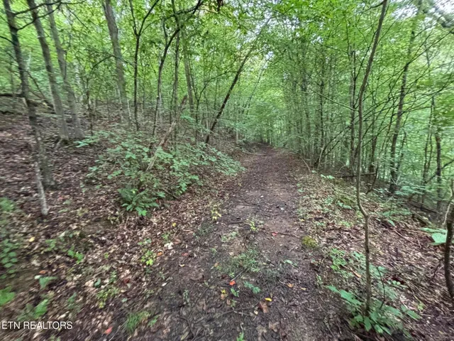 $157,000 | 6th Avenue, Jellico, TN 37762