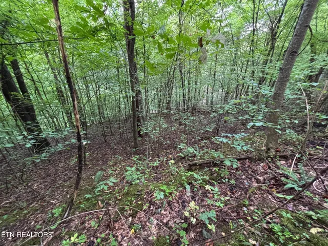 $157,000 | 6th Avenue, Jellico, TN 37762