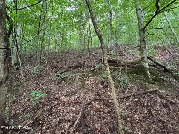 $78,500 | 6th Avenue, Jellico, TN 37762