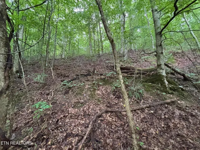 $157,000 | 6th Avenue, Jellico, TN 37762