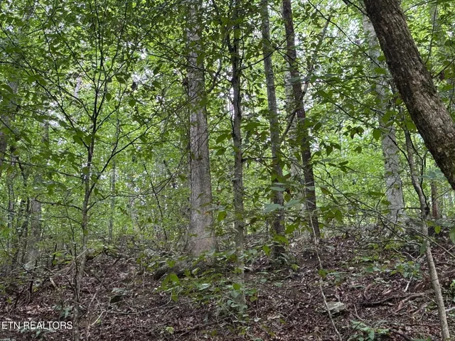 $157,000 | 6th Avenue, Jellico, TN 37762