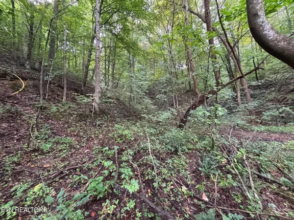 $78,500 | 6th Avenue, Jellico, TN 37762