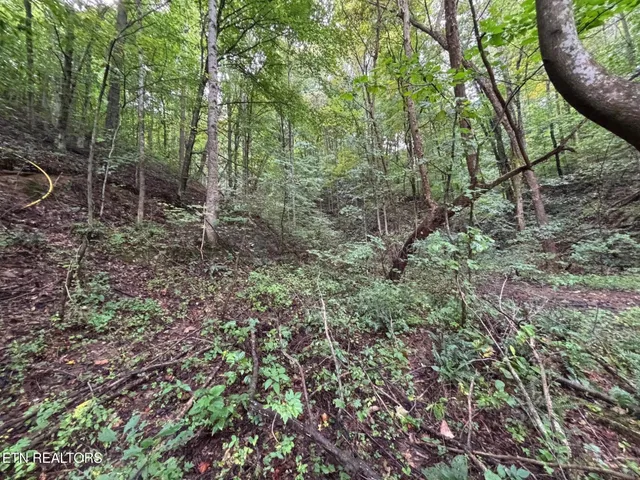 $157,000 | 6th Avenue, Jellico, TN 37762