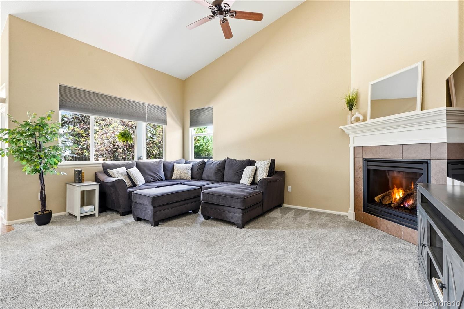 8325 Raspberry Drive Frederick, CO 80504 - Photo 10 of 44