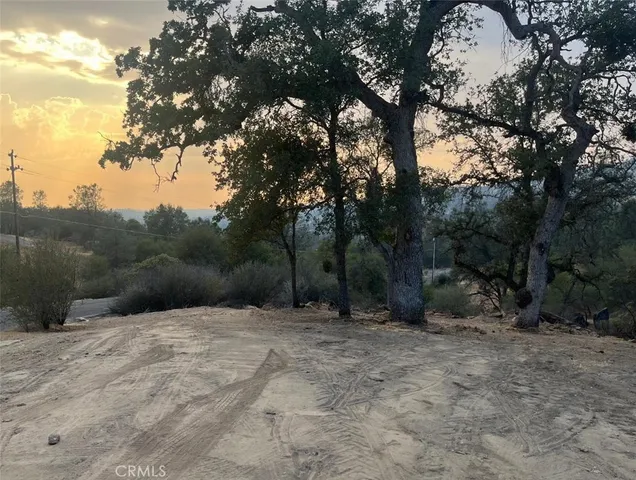 a view of outdoor space with trees