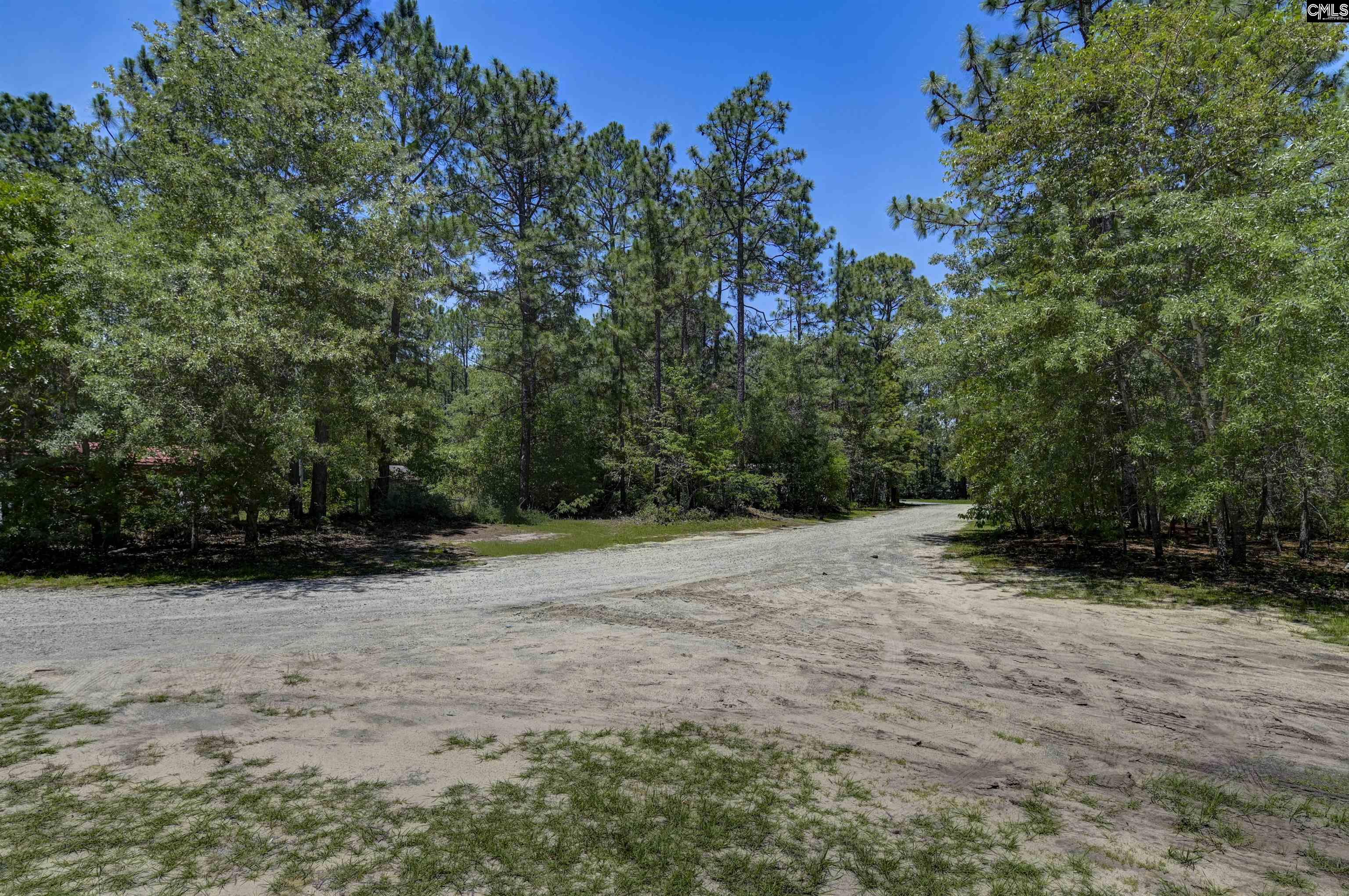 477 Bushberry Road Pelion, SC 29123 - Photo 33 of 34