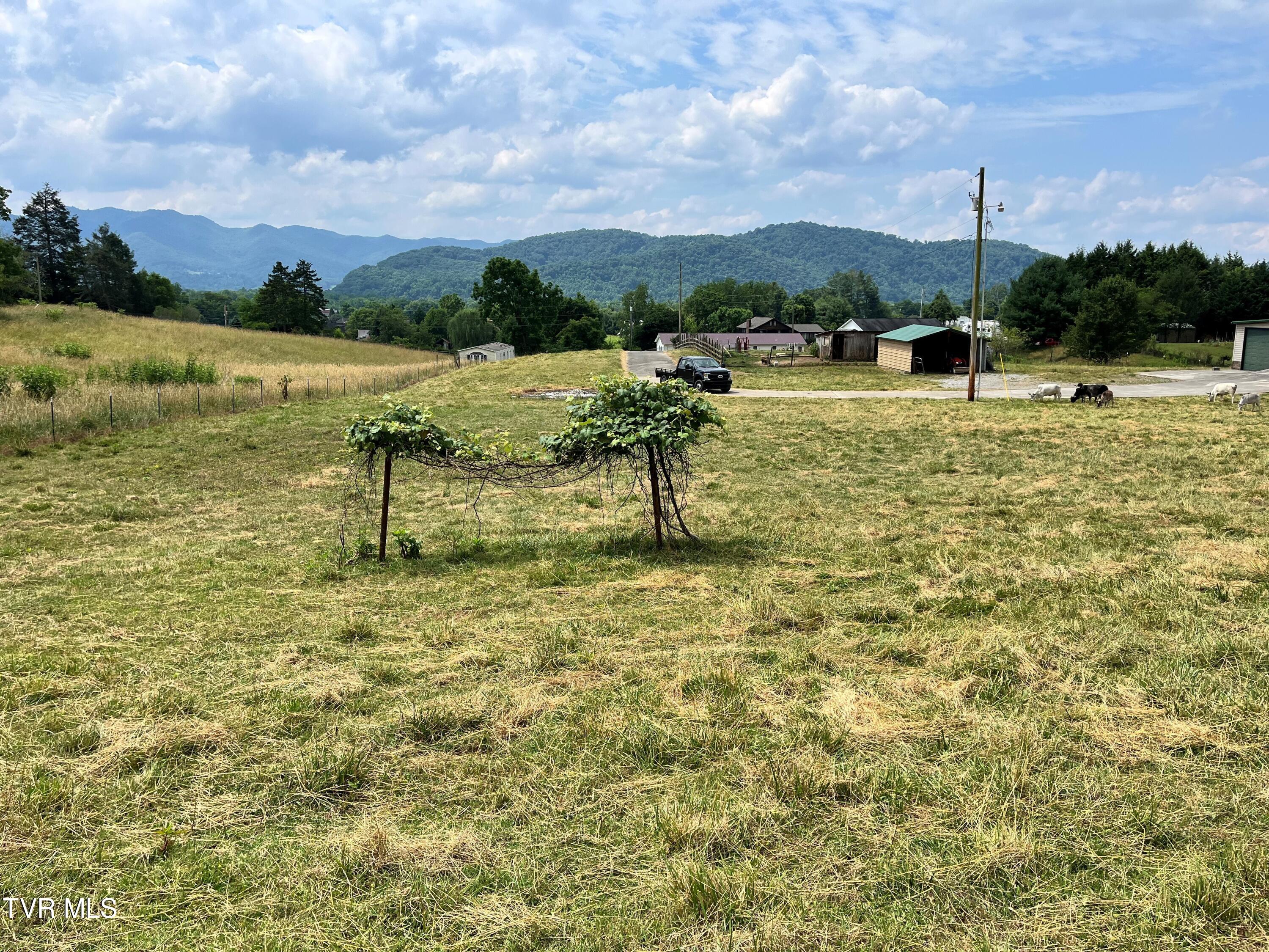 0 George Bowers Road Elizabethton, TN 37643 - Photo 5 of 19 gb8