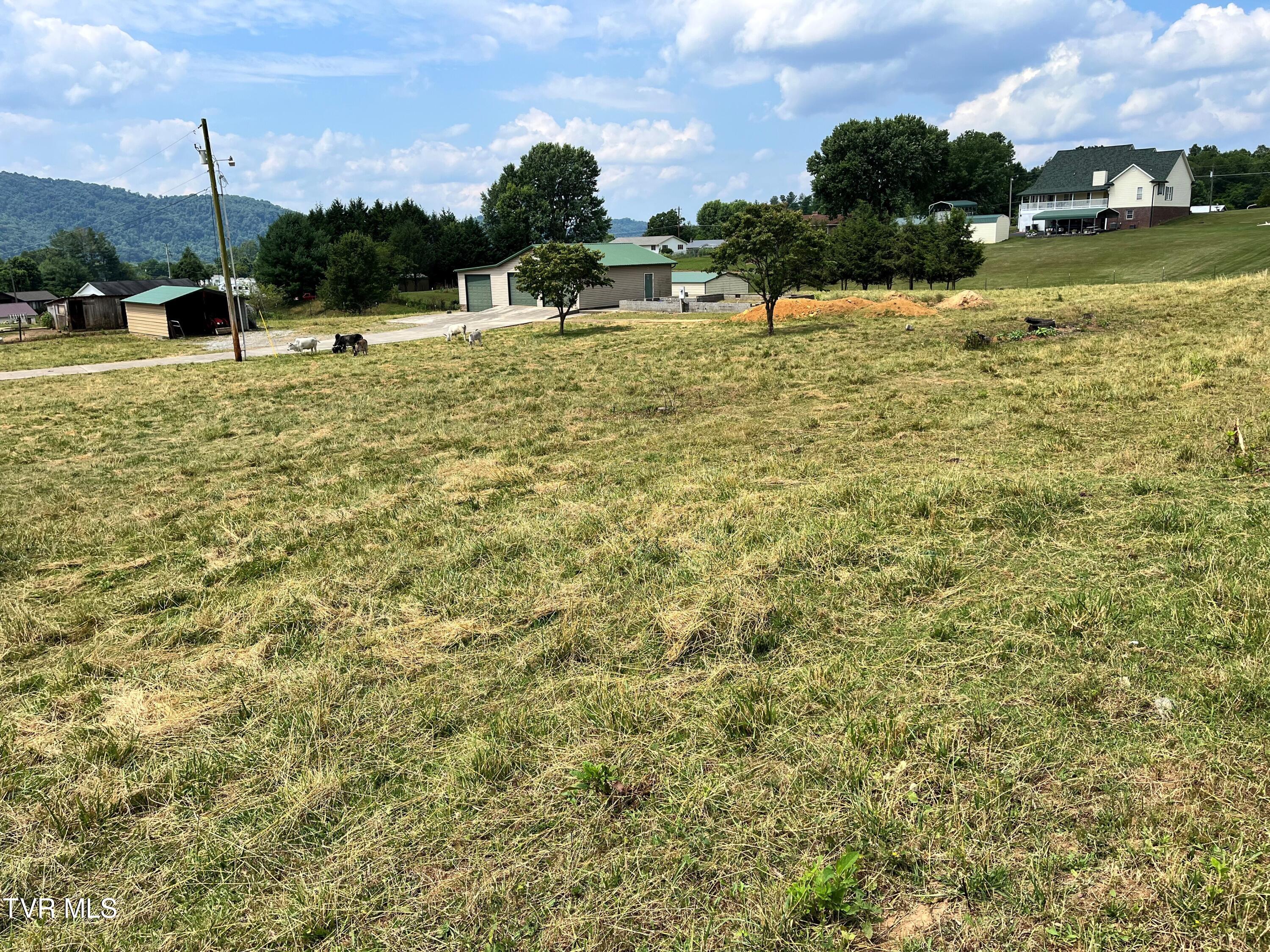 0 George Bowers Road Elizabethton, TN 37643 - Photo 7 of 19 gb9