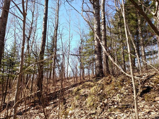 W6614 Loop Rd Road Phillips, WI 54555 - Photo 17 of 19 Gallery Image 17