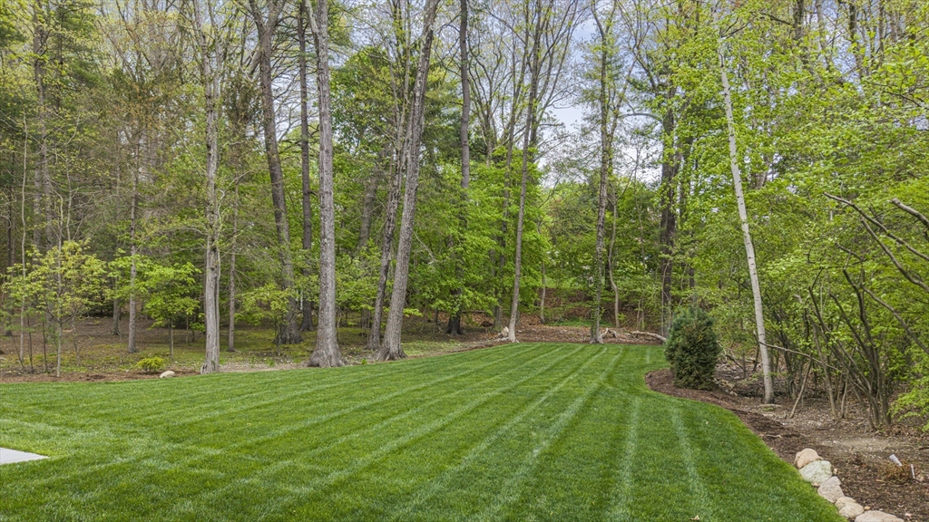 30 Hobart Road Wellesley, MA 02482 - Photo 38 of 40 a view of a park with a tree