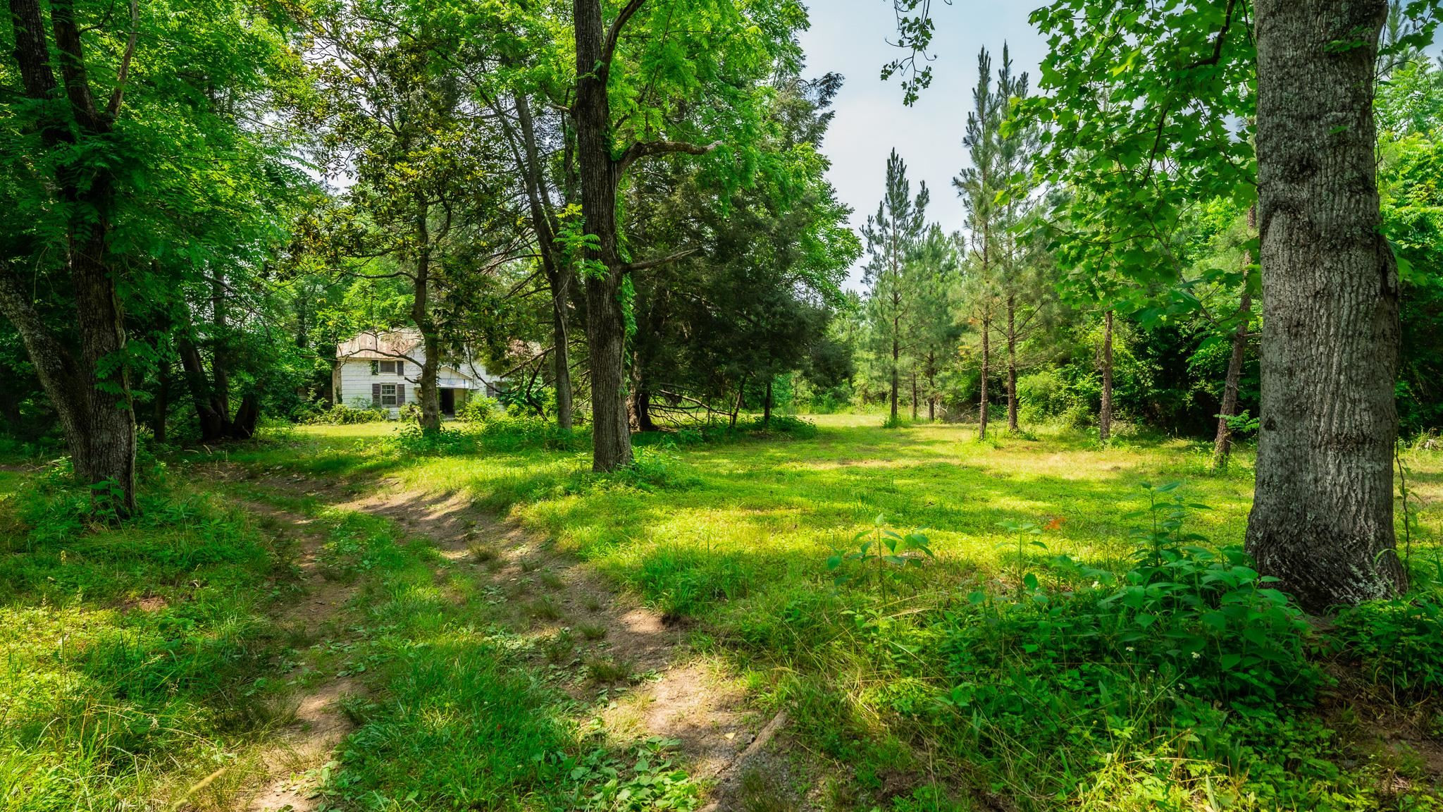 46-acres Durham Road Timberlake, NC 27583 - Photo 26 of 38 Photo 26
