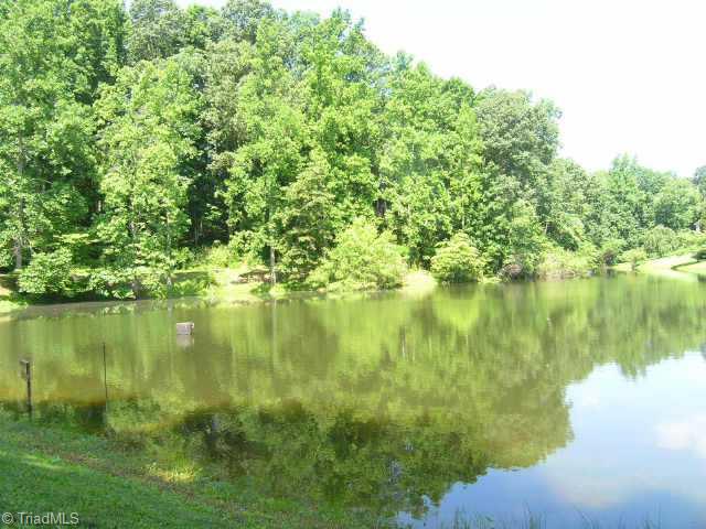 5645 Farmstead Road Pfafftown, NC 27040 - Photo 3 of 9 Other.