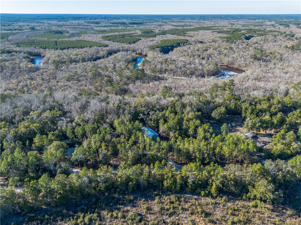 1320 Douglas Fish Camp Road White Oak, GA 31568 - Photo 1 of 73