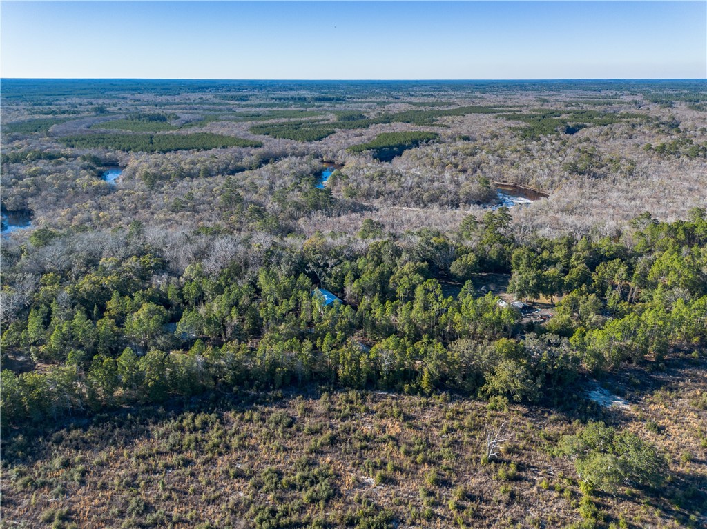 1320 Douglas Fish Camp Road White Oak, GA 31568 - Photo 2 of 73