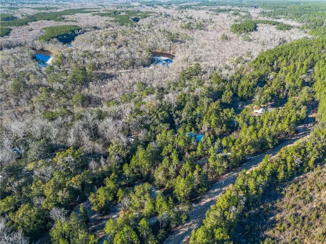 $1,095,000 | 1320 Douglas Fish Camp Road, White Oak, GA 31568