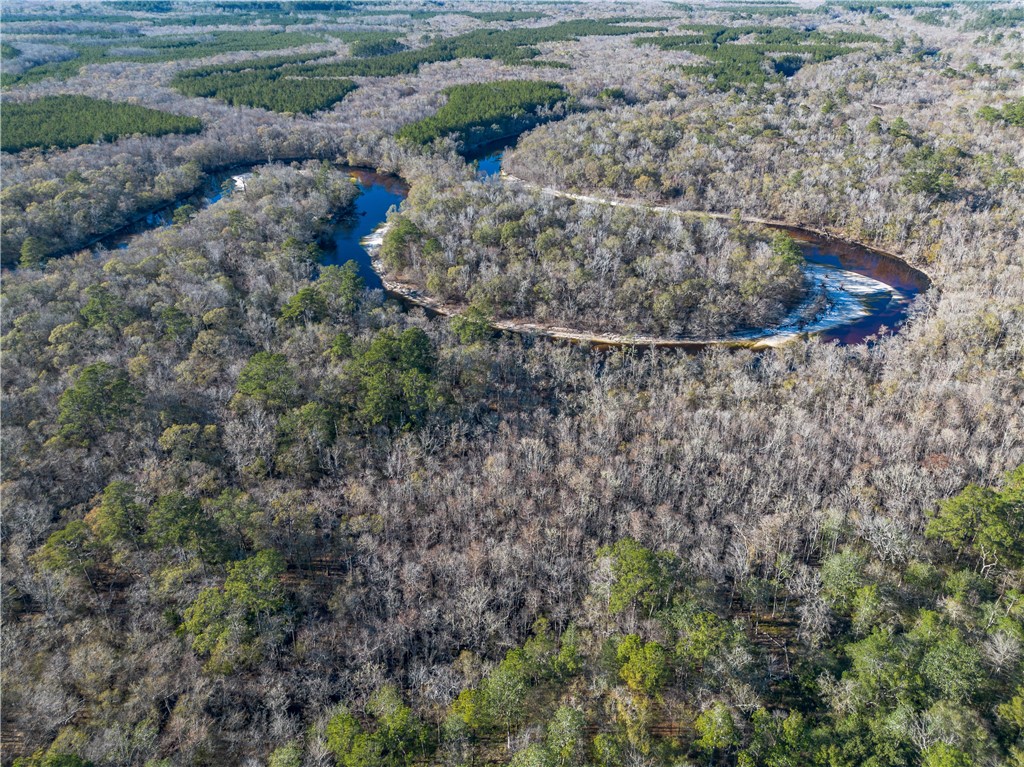 1320 Douglas Fish Camp Road White Oak, GA 31568 - Photo 4 of 73