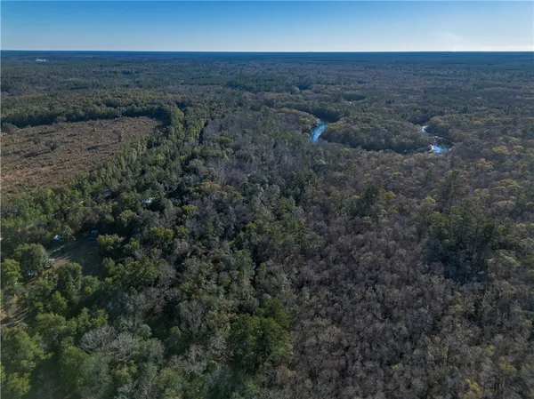 $1,095,000 | 1320 Douglas Fish Camp Road, White Oak, GA 31568