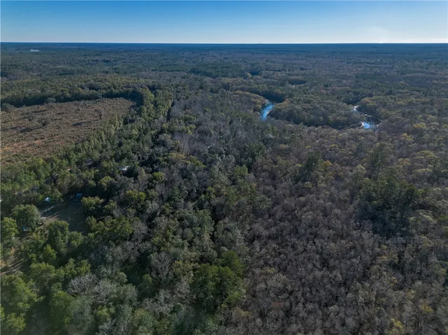 $1,095,000 | 1320 Douglas Fish Camp Road, White Oak, GA 31568