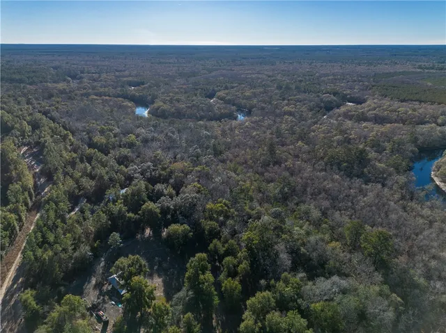 $1,095,000 | 1320 Douglas Fish Camp Road, White Oak, GA 31568