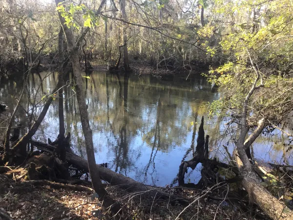 $276,000 | 129 Brannen Landing, Midville, GA 30441