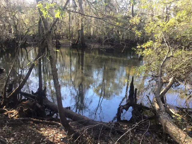 $276,000 | 129 Brannen Landing, Midville, GA 30441