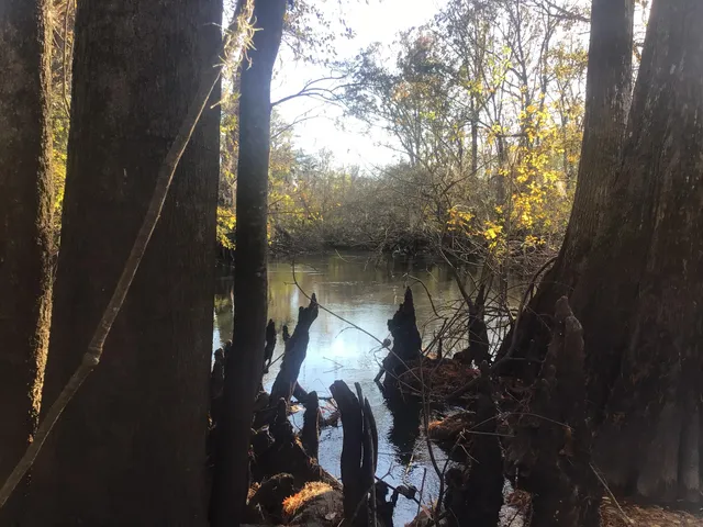 $276,000 | 129 Brannen Landing, Midville, GA 30441