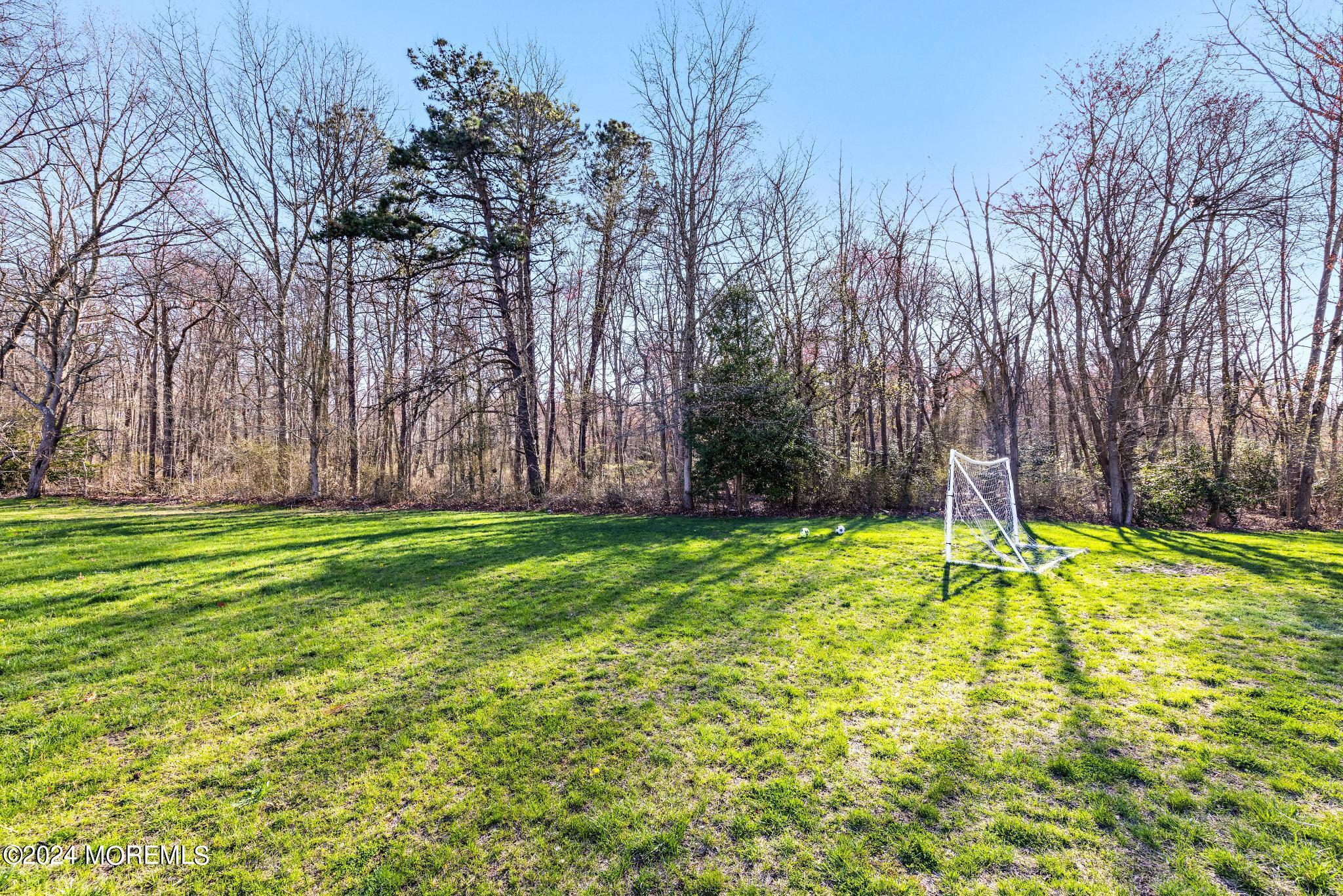 25 Firestone Drive Howell, NJ 07731 - Photo 51 of 65 Side Yard