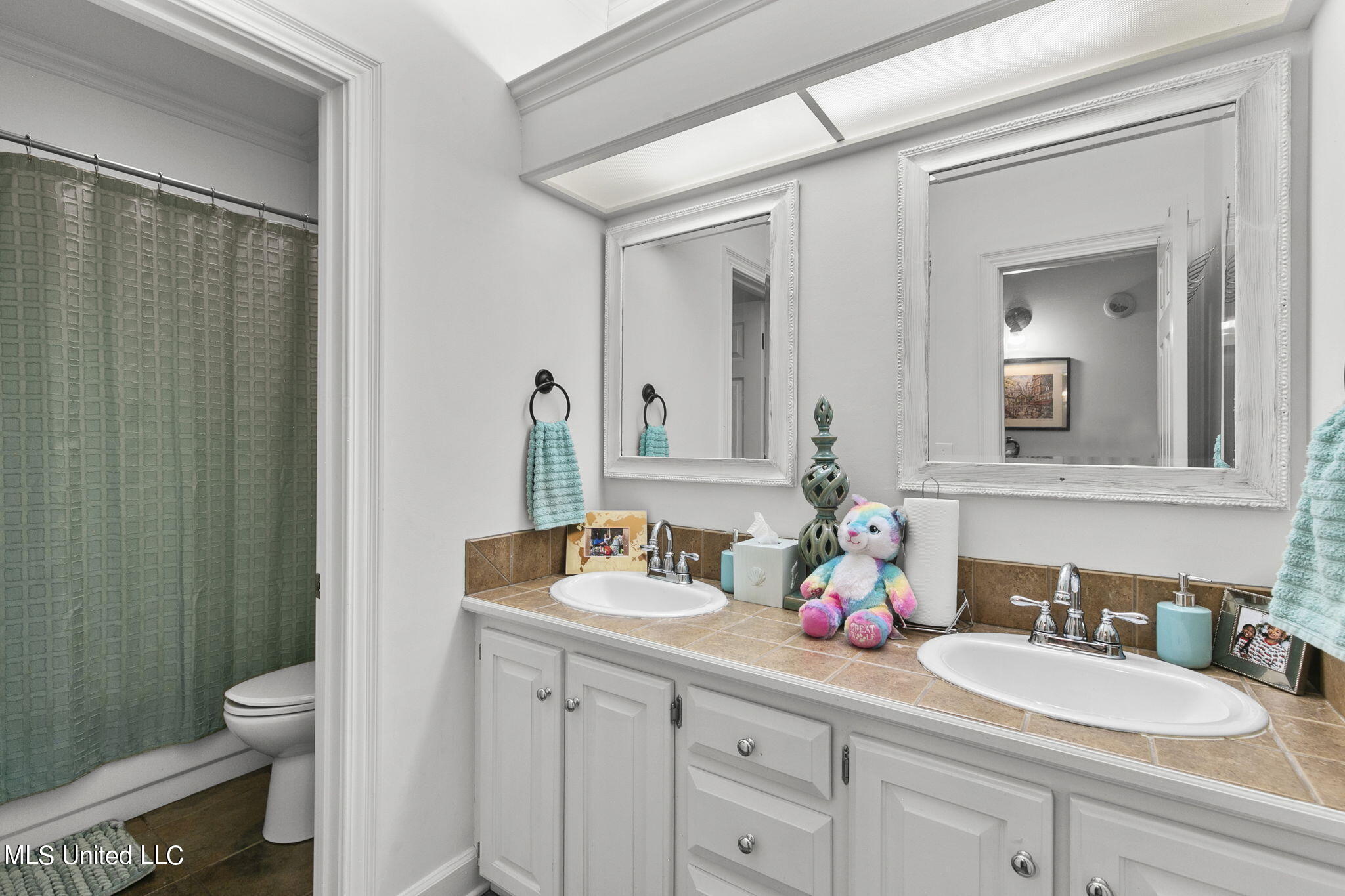 210 Hillside Street Ridgeland, MS 39157 - Photo 40 of 68 double vanity in guest bath