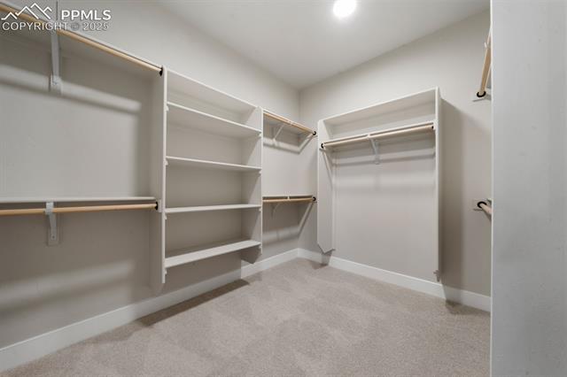 11762 Rambling Road Colorado Springs, CO 80908 - Photo 29 of 42 Spacious walk-in closet